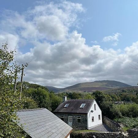 Bryn Rhedyn Cottage Cwm-y-glo Exteriör bild