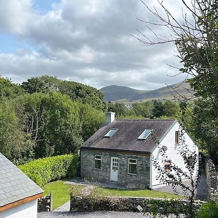 Bryn Rhedyn Cottage Cwm-y-glo Exteriör bild